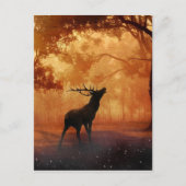 Stag bij zonsondergang briefkaart (Voorkant)