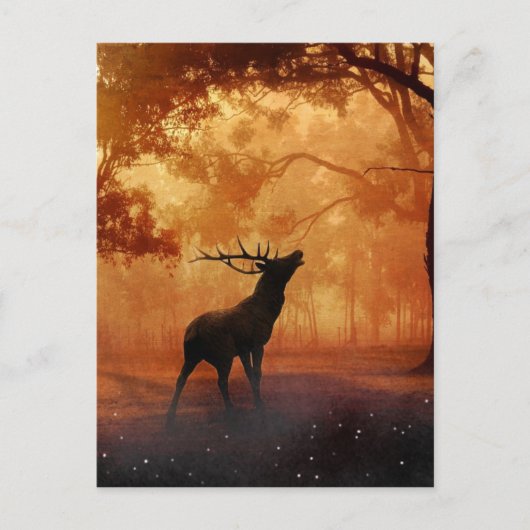 Stag bij zonsondergang briefkaart (Voorkant)