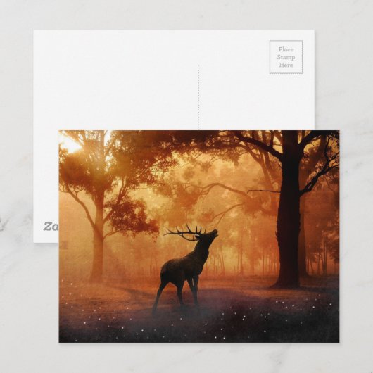 Stag bij zonsondergang briefkaart (Voorkant / Achterkant)