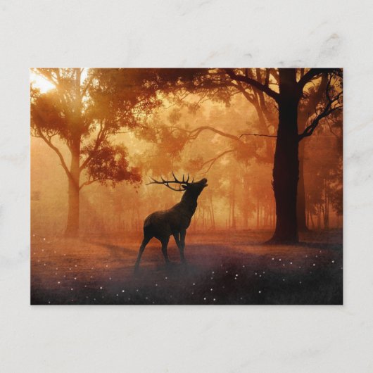 Stag bij zonsondergang briefkaart (Voorkant)