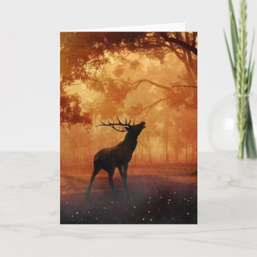 Stag bij zonsondergang kaart (Voorkant)