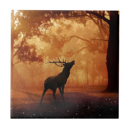 Stag bij zonsondergang tegeltje (Voorkant)
