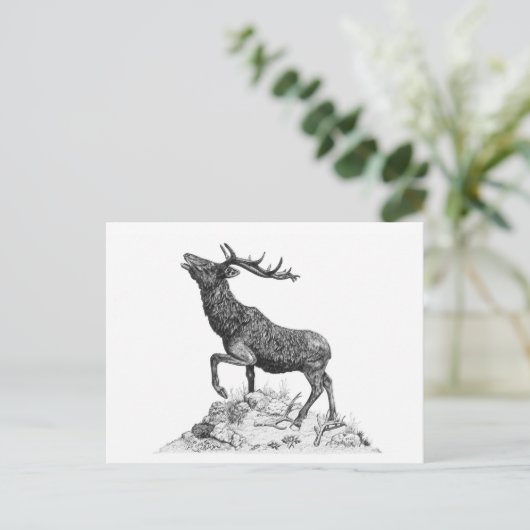 Stag - Blank Briefkaart (Staand voorkant)