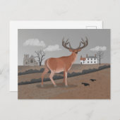 Stag Briefkaart (Voorkant / Achterkant)