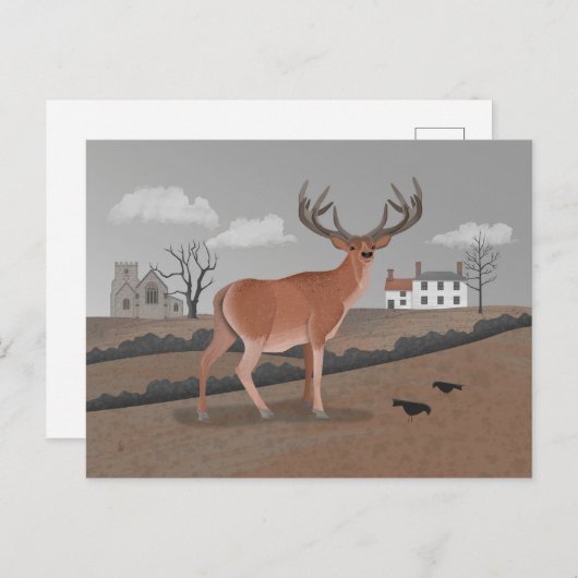 Stag Briefkaart (Voorkant / Achterkant)