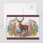 Stag Briefkaart (Voorkant / Achterkant)