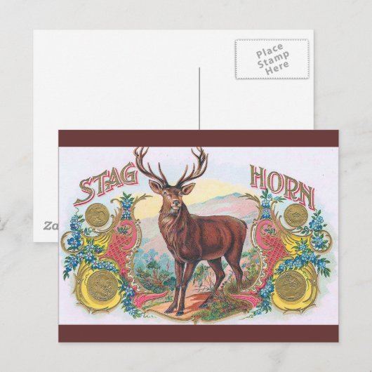  Stag Briefkaart (Voorkant / Achterkant)