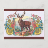  Stag Briefkaart (Voorkant)