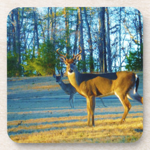 Stag / Buck Deer, Bright Blue Sky Bier Onderzetter