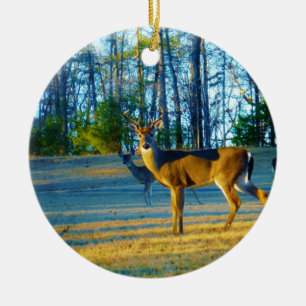 Stag / Buck Deer, Bright Blue Sky Keramisch Ornament
