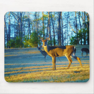 Stag / Buck Deer, Bright Blue Sky Muismat