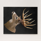 Stag Buck Deer Legpuzzel (Horizontaal)