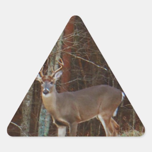 Stag/Buck Deer Oak Camouflage Sticker (Voorkant)