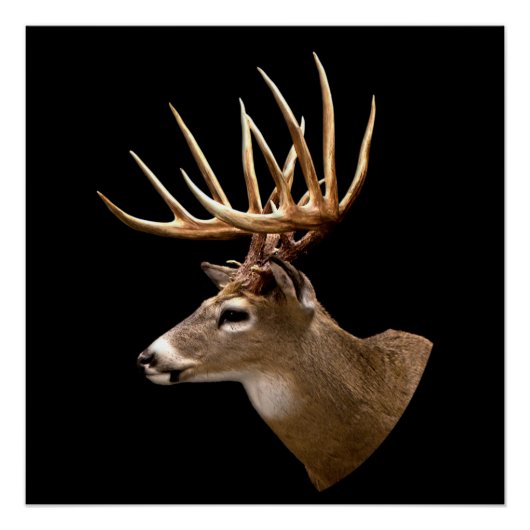 Stag Buck Deer Perfect Poster (Voorkant)