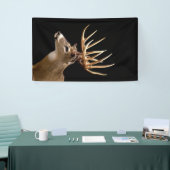 Stag Buck Deer Spandoek (Beurs)