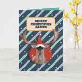 Stag Christmas Kaart Stagtastic Funny voor hem (Gele Bloem)