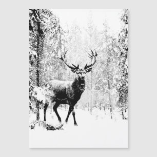 Stag Deer Winter Forest Wildlife Animal Natuur Art