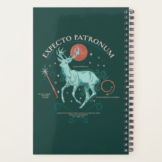 Stag Expecto Patronum Graphic Planner (Achterkant)
