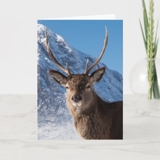 Stag Feestdagen Kaart (Voorkant)