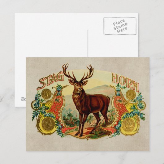  Stag Horn Briefkaart (Voorkant / Achterkant)