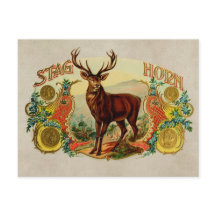  Stag Horn