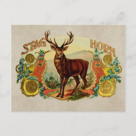  Stag Horn Briefkaart