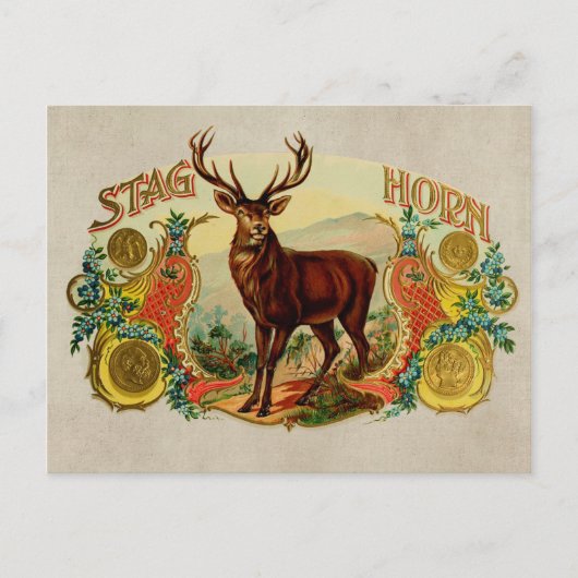  Stag Horn Briefkaart (Voorkant)