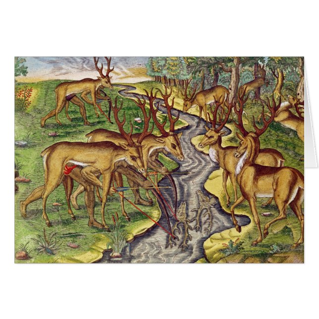 Stag Hunt uit 'Brevis Narratio' (Voorkant Horizontaal)