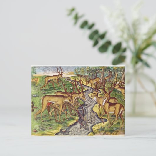 Stag Hunt uit 'Brevis Narratio' Briefkaart (Staand voorkant)