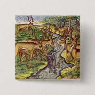 Stag Hunt uit 'Brevis Narratio' Vierkante Button 5,1 Cm