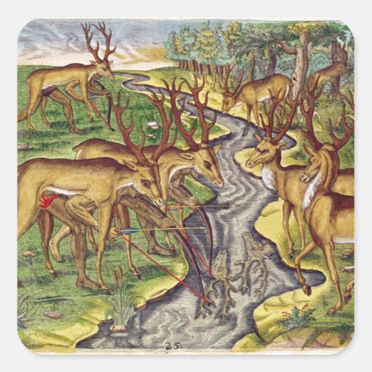 Stag Hunt uit 'Brevis Narratio' Vierkante Sticker (Voorkant)