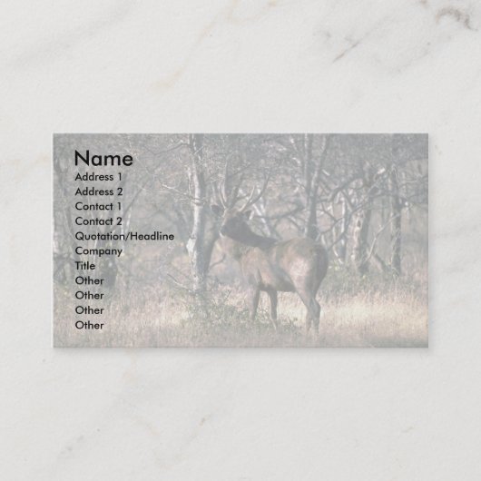 Stag in het bos visitekaartje (Voorkant)