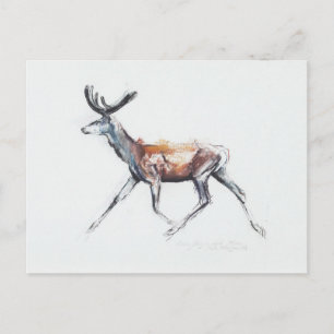 Stag in velvet Polsen 2006 Briefkaart