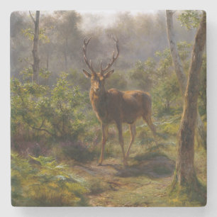 Stag (Mannelijke Herten) in de Bossen (door Rosa B Stenen Onderzetter