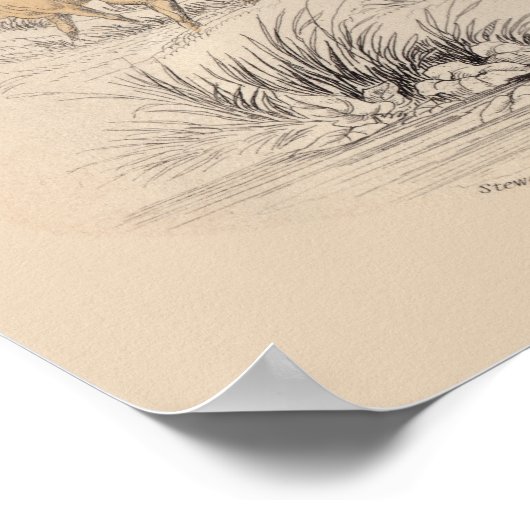 STAG (NEPAUL) PRINT (Hoek)