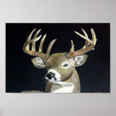 Stag Poster (Voorkant)