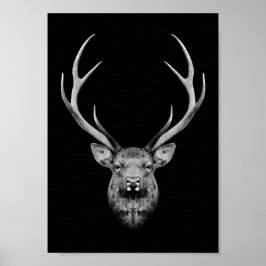 Stag poster