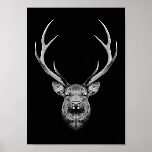 Stag poster (Voorkant)