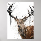 Stag Poster (Voorkant)