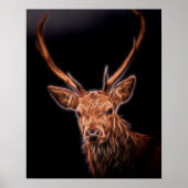 Stag Poster (Voorkant)