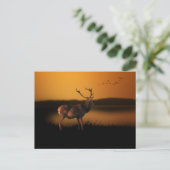 Stag Sunrise Misty Morning Deer Briefkaart (Staand voorkant)