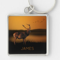 Stag Sunrise Misty Morning Deer Persoonlijk