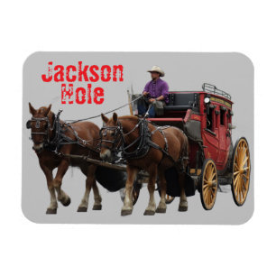 Stagecoach Jackson Hole Wyoming Magneet