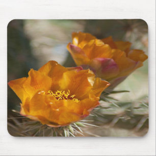 Staghorn Cholla Cactus Blossom Mousepad Muismat