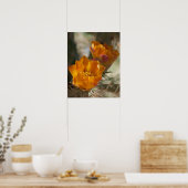 Staghorn Cholla Cactus Blossom Poster (Keuken)