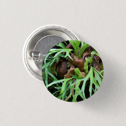 Staghorn Fern Button (Voorkant /achterkant)