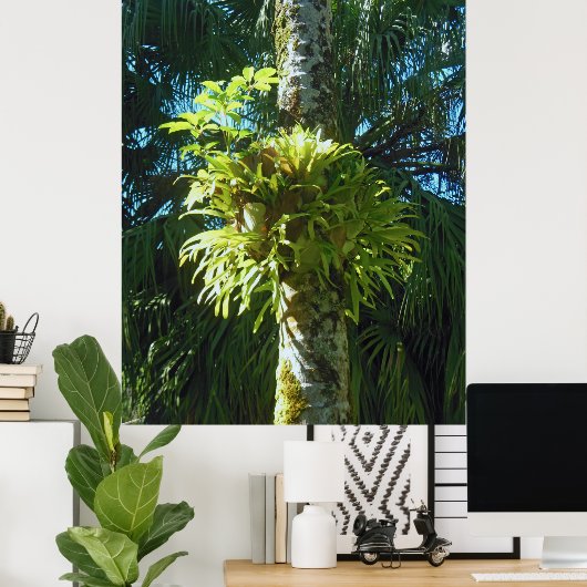 Staghorn Fern Poster (Thuiskantoor)