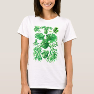 Staghorn Fern T-shirt