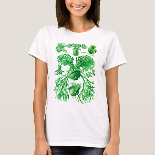 Staghorn Fern T-shirt (Voorkant)