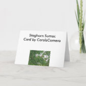 Staghorn Sumac Note Kaart (Achterkant)